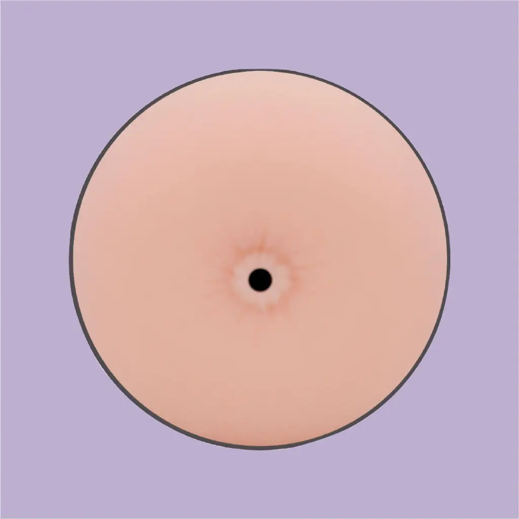 JAMYJOB_BOOTY_MASTURBATOR___ANUS_Prancheta 1 cópia 39 copy.webp