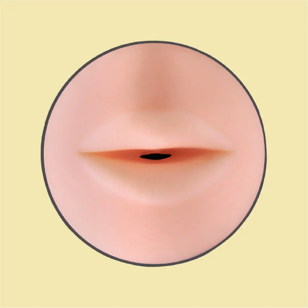 MASTURBADOR_DE_BOCA_JAMYJOB_Prancheta 1 cópia 40.webp